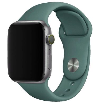 Ремешок for Apple Watch Sport Band 42 mm/44 mm (cactus)