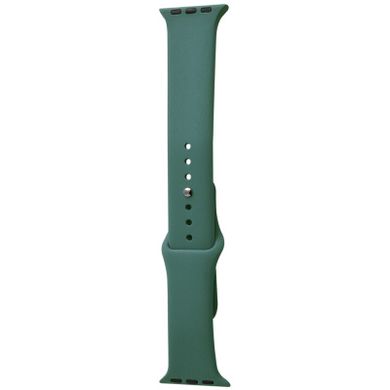 Ремешок for Apple Watch Sport Band 42 mm/44 mm (cactus)