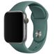 Ремешок for Apple Watch Sport Band 42 mm/44 mm (Pine green)